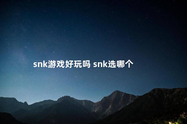 snk游戏好玩吗 snk选哪个